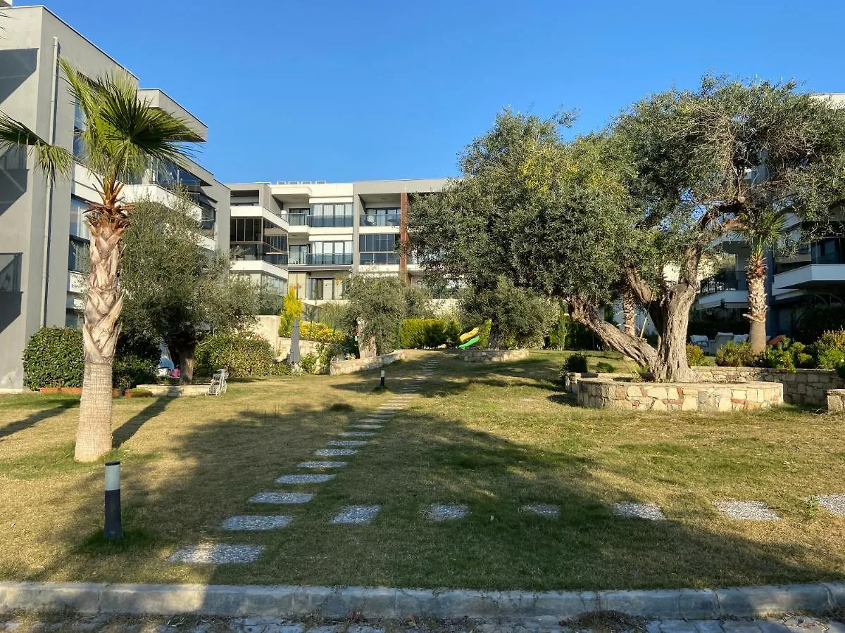 דירות קוסדסי Olea